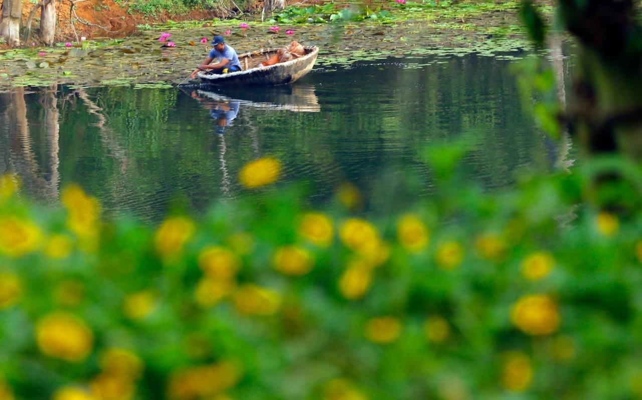 فندق Vista Del Lago Ambalavayal المظهر الخارجي الصورة